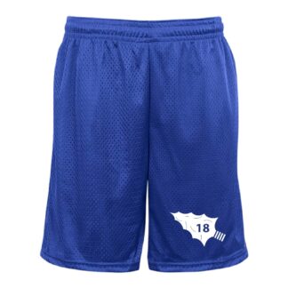 Blue Mesh Shorts - B721900