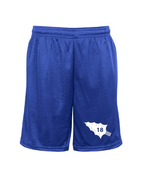 Blue Mesh Shorts - B721900